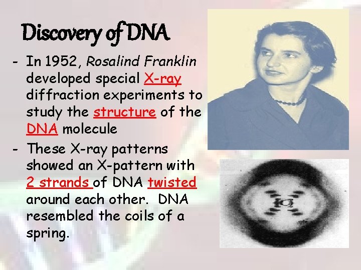 Discovery of DNA - In 1952, Rosalind Franklin developed special X-ray diffraction experiments to