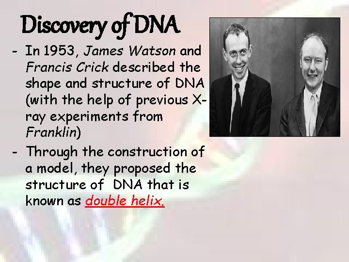 Discovery of DNA - In 1953, James Watson and Francis Crick described the shape