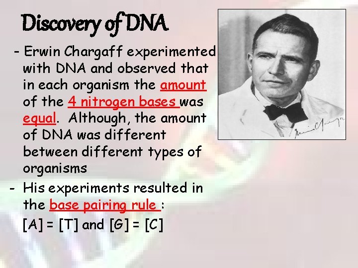 Discovery of DNA - Erwin Chargaff experimented with DNA and observed that in each