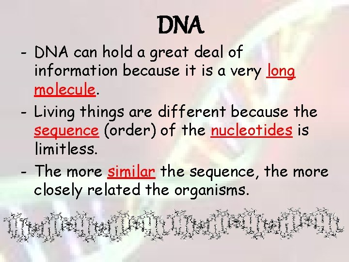 DNA - DNA can hold a great deal of information because it is a