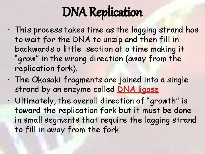 DNA Replication • This process takes time as the lagging strand has to wait