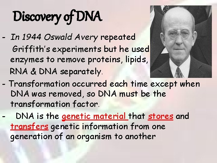 Discovery of DNA - In 1944 Oswald Avery repeated Griffith’s experiments but he used