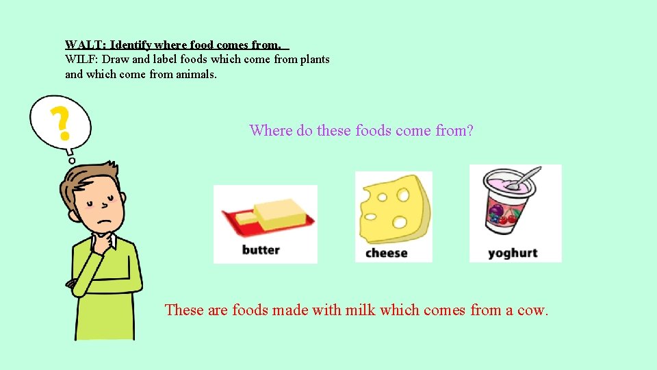 WALT: Identify where food comes from. WILF: Draw and label foods which come from