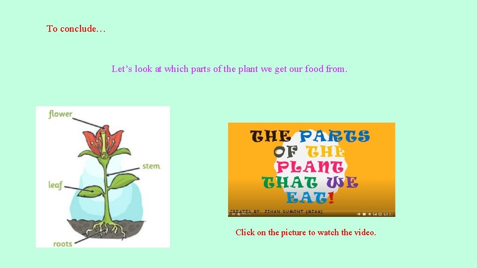To conclude… Let’s look at which parts of the plant we get our food