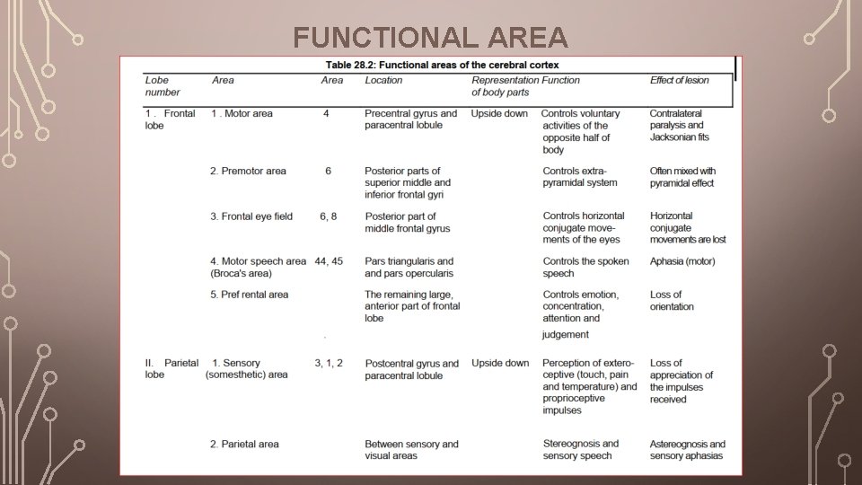 FUNCTIONAL AREA 
