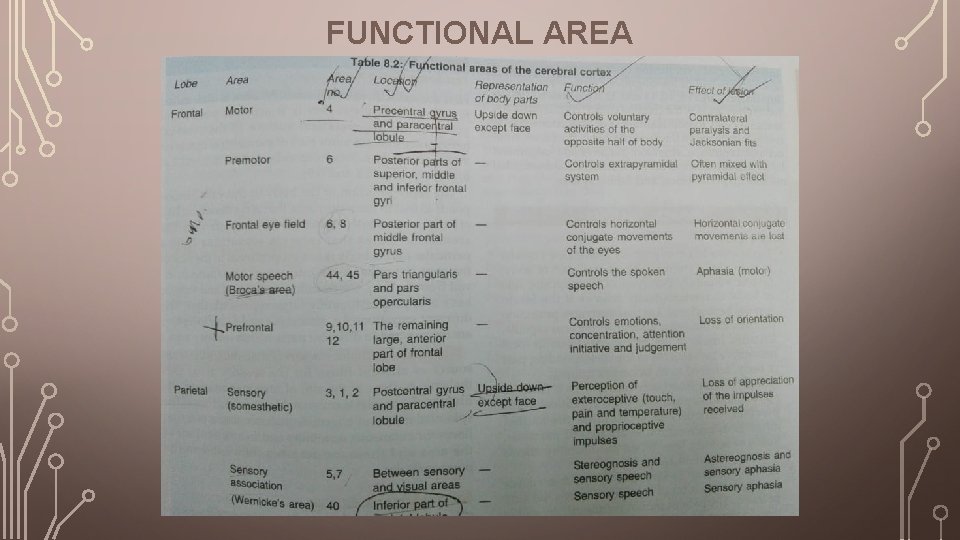 FUNCTIONAL AREA 