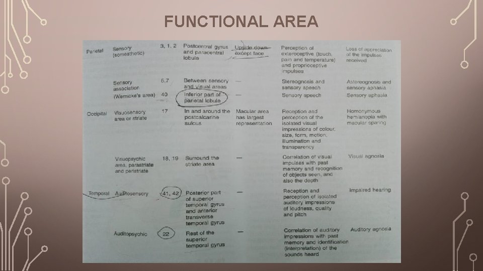 FUNCTIONAL AREA 
