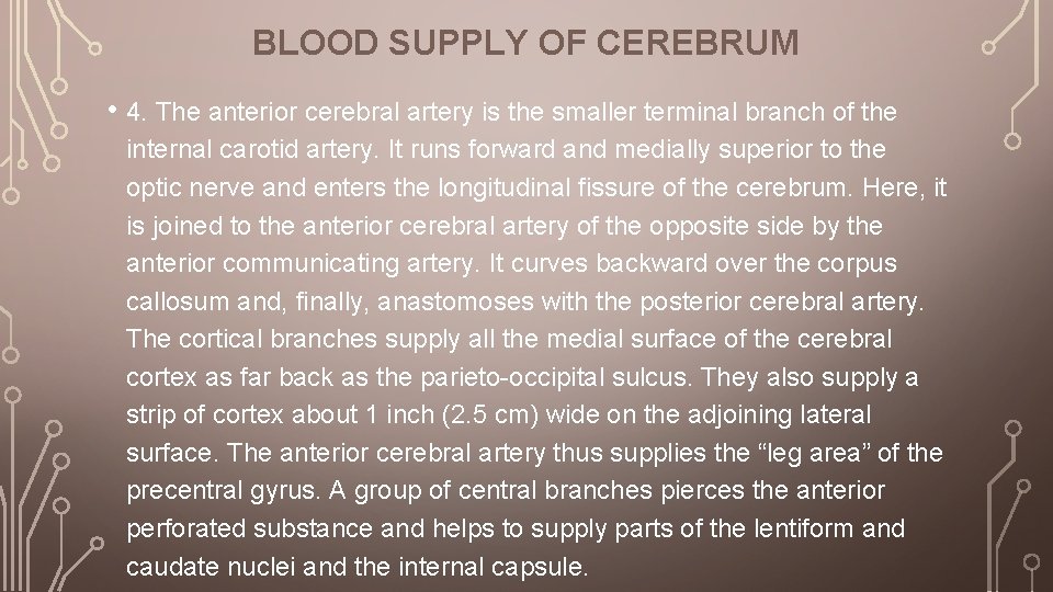 BLOOD SUPPLY OF CEREBRUM • 4. The anterior cerebral artery is the smaller terminal