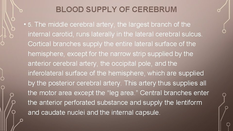 BLOOD SUPPLY OF CEREBRUM • 5. The middle cerebral artery, the largest branch of
