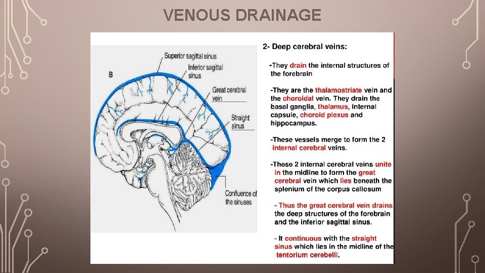VENOUS DRAINAGE 