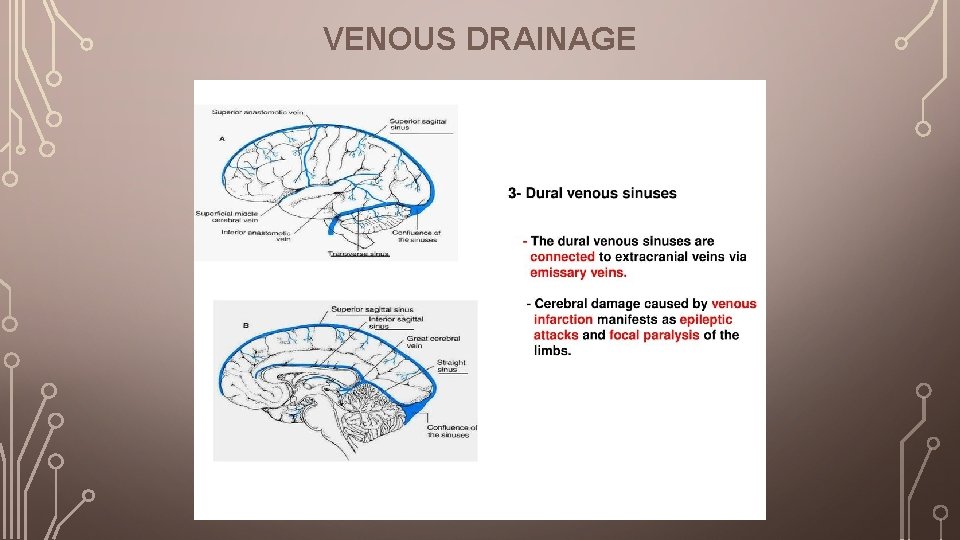 VENOUS DRAINAGE 