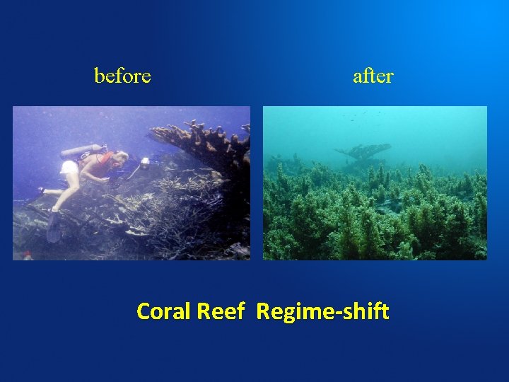 before after Coral Reef Regime-shift 