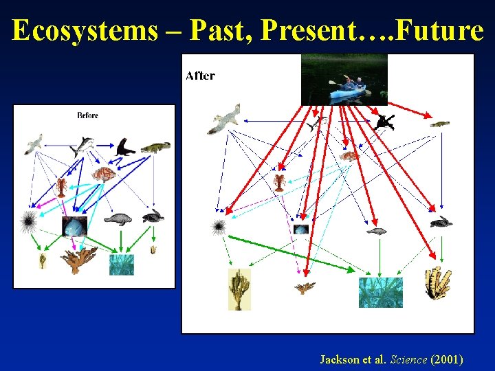 Ecosystems – Past, Present…. Future Jackson et al. Science (2001) 