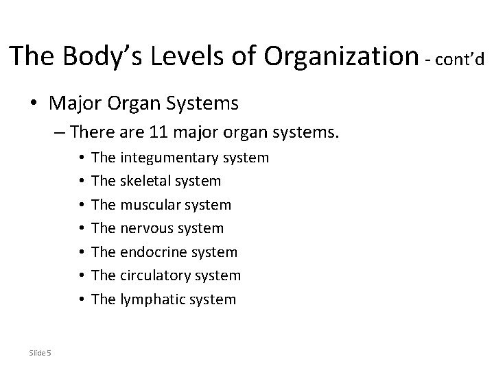 The Body’s Levels of Organization - cont’d • Major Organ Systems – There are