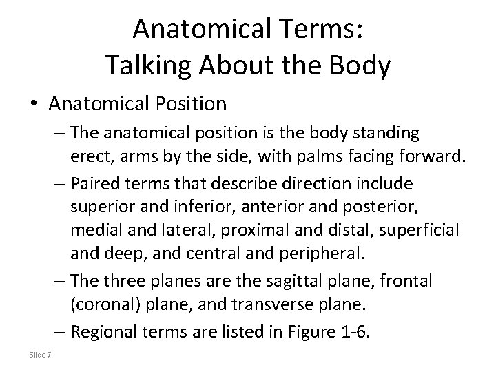 Anatomical Terms: Talking About the Body • Anatomical Position – The anatomical position is