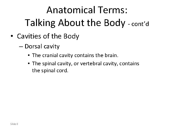 Anatomical Terms: Talking About the Body - cont’d • Cavities of the Body –