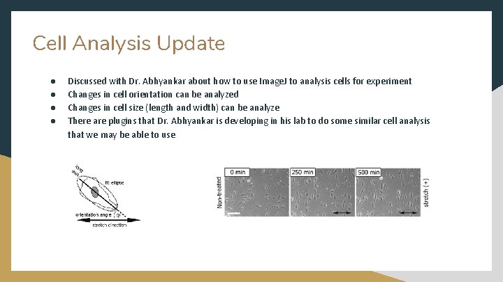 Cell Analysis Update ● ● Discussed with Dr. Abhyankar about how to use Image.