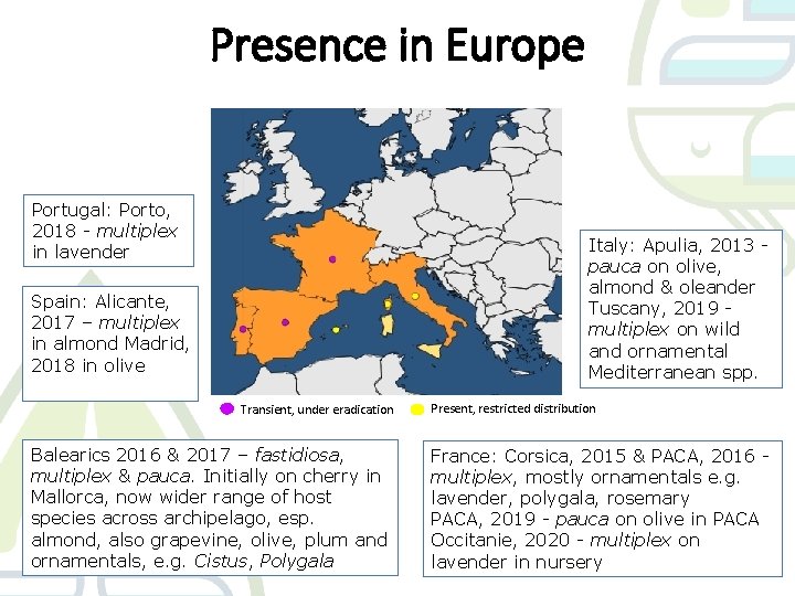 Presence in Europe Portugal: Porto, 2018 - multiplex in lavender Italy: Apulia, 2013 pauca