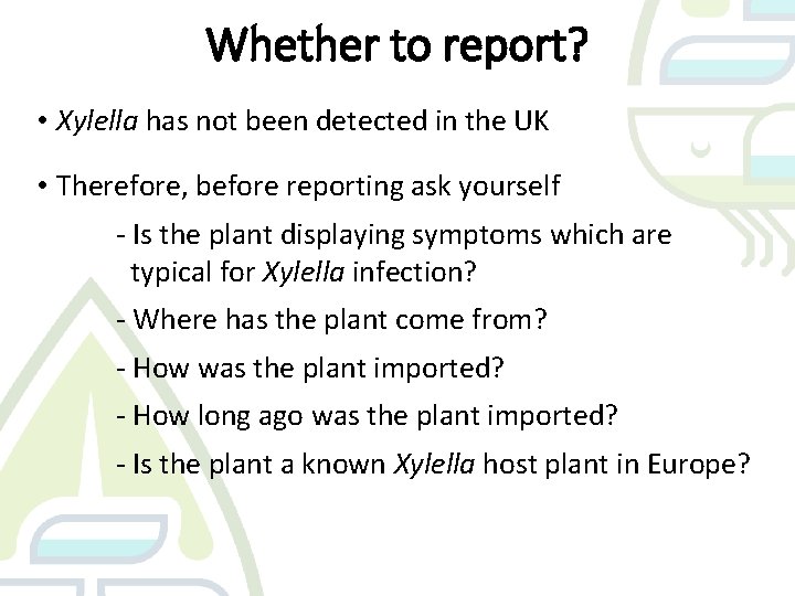 Whether to report? • Xylella has not been detected in the UK • Therefore,