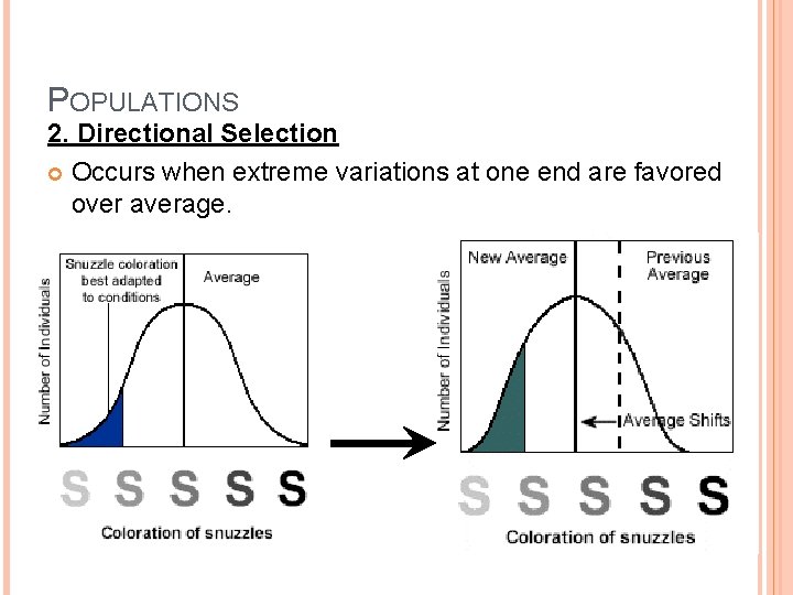 POPULATIONS 2. Directional Selection Occurs when extreme variations at one end are favored over