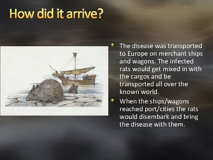 How did it arrive? The disease was transported to Europe on merchant ships and