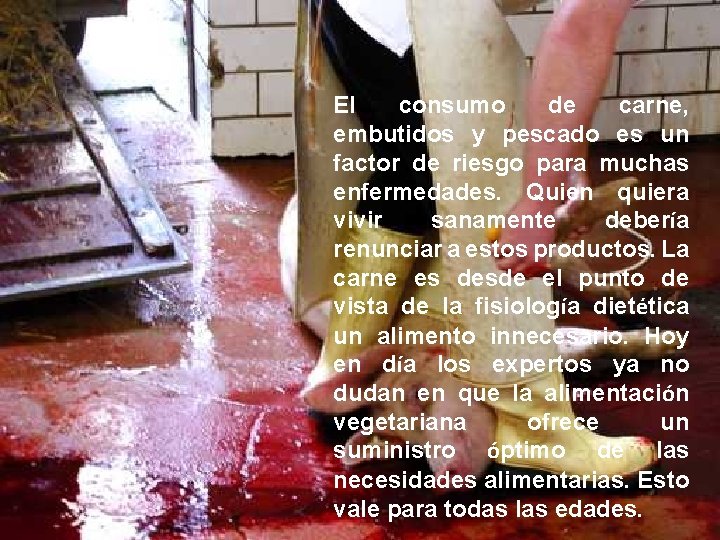 El consumo de carne, embutidos y pescado es un factor de riesgo para muchas