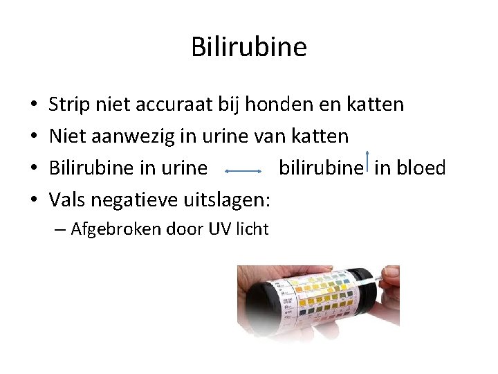 Bilirubine • • Strip niet accuraat bij honden en katten Niet aanwezig in urine