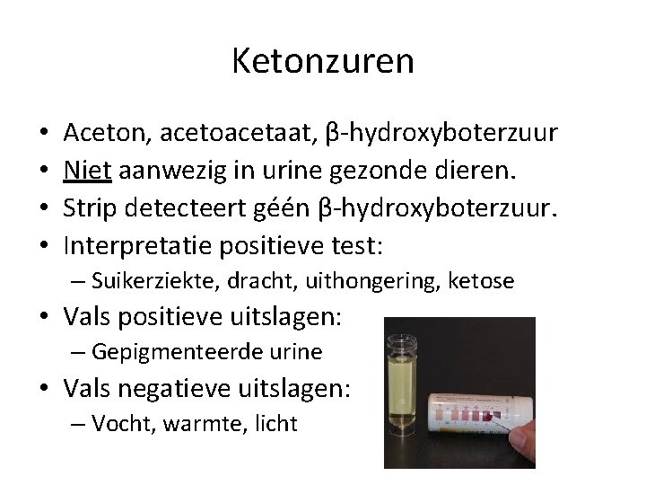 Ketonzuren • • Aceton, acetoacetaat, β-hydroxyboterzuur Niet aanwezig in urine gezonde dieren. Strip detecteert