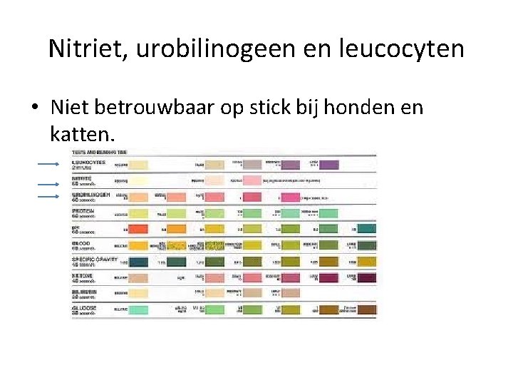 Nitriet, urobilinogeen en leucocyten • Niet betrouwbaar op stick bij honden en katten. 