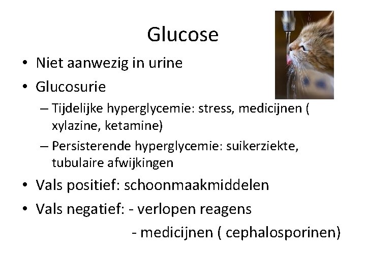 Glucose • Niet aanwezig in urine • Glucosurie – Tijdelijke hyperglycemie: stress, medicijnen (