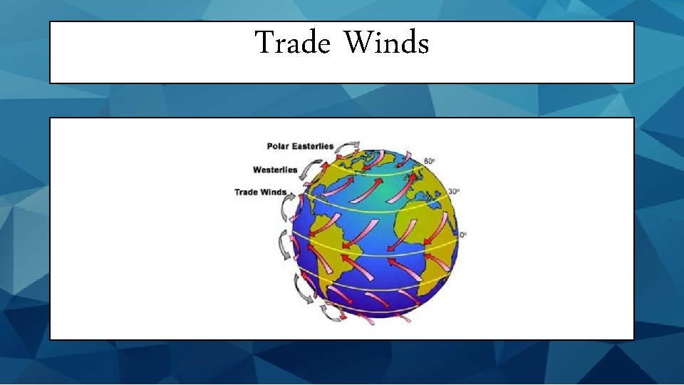 Trade Winds 