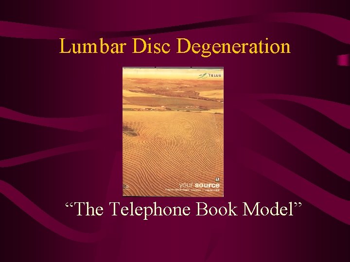 Lumbar Disc Degeneration “The Telephone Book Model” 