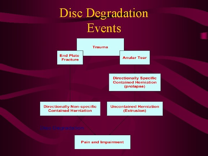 Disc Degradation Events 