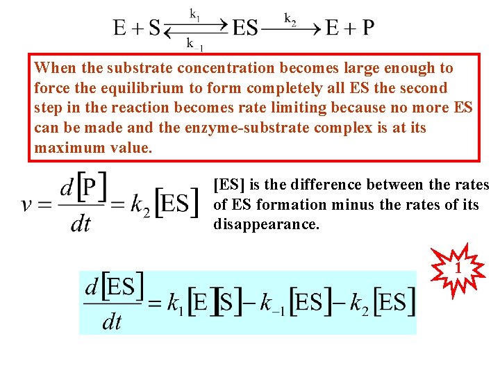 When the substrate concentration becomes large enough to force the equilibrium to form completely
