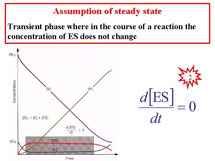 Assumption of steady state Transient phase where in the course of a reaction the