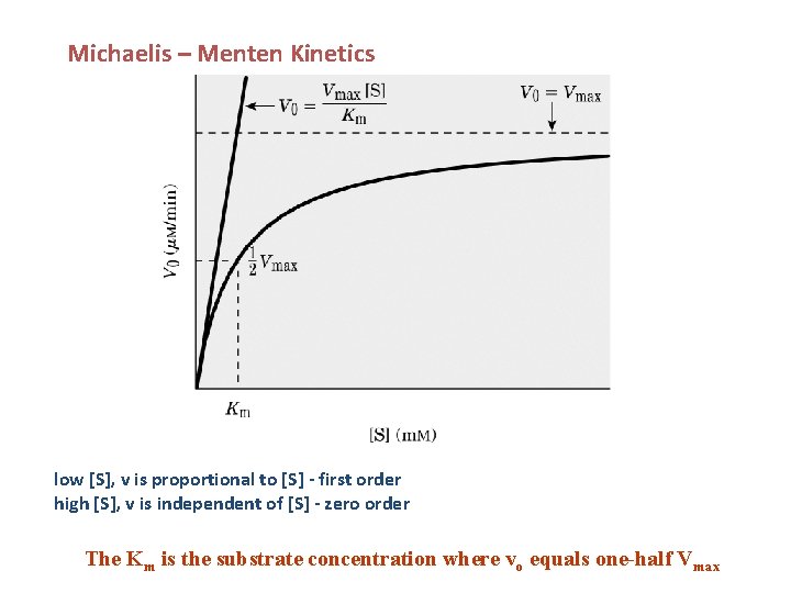 Michaelis – Menten Kinetics low [S], v is proportional to [S] - first order