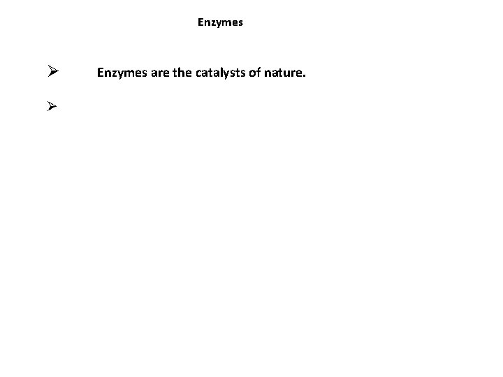 Enzymes Ø Ø Enzymes are the catalysts of nature. 
