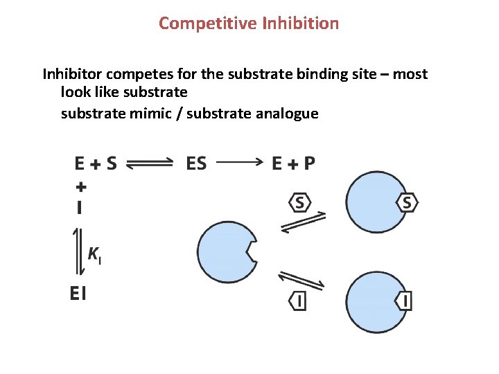 Competitive Inhibition Inhibitor competes for the substrate binding site – most look like substrate