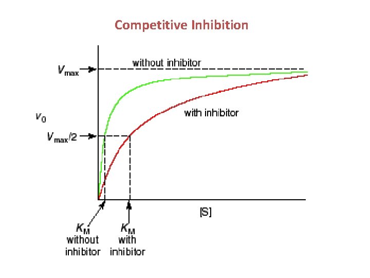 Competitive Inhibition 