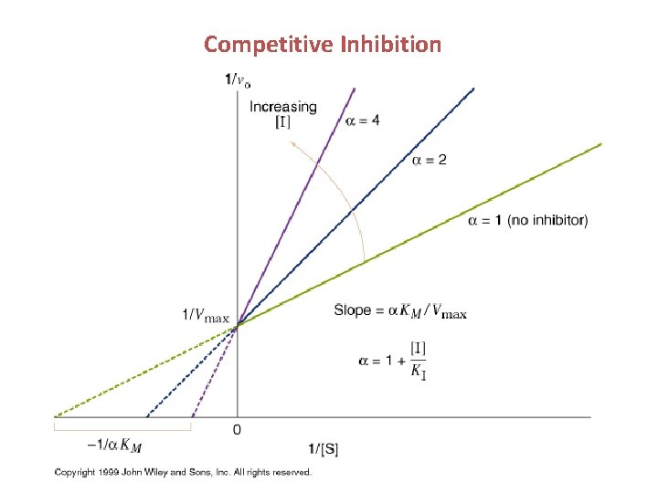 Competitive Inhibition 