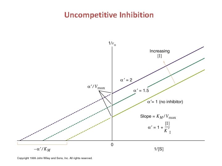 Uncompetitive Inhibition 