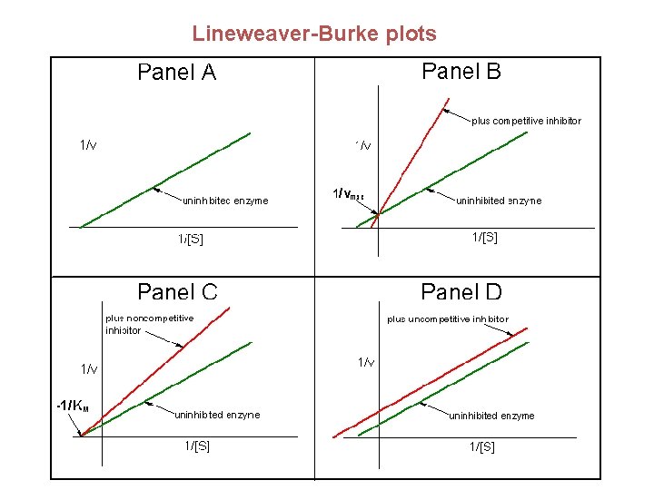 Lineweaver-Burke plots 