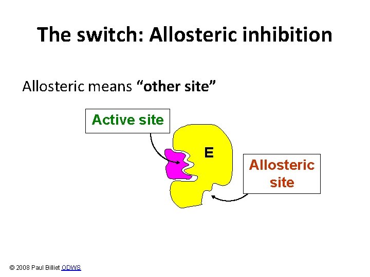 The switch: Allosteric inhibition Allosteric means “other site” Active site E © 2008 Paul