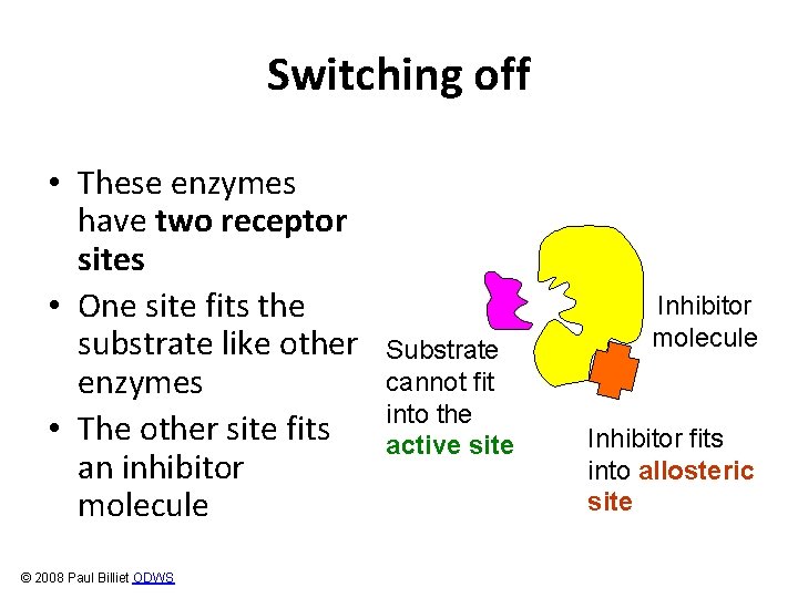 Switching off • These enzymes have two receptor sites • One site fits the