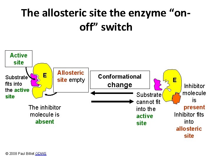 The allosteric site the enzyme “onoff” switch Active site Substrate fits into the active