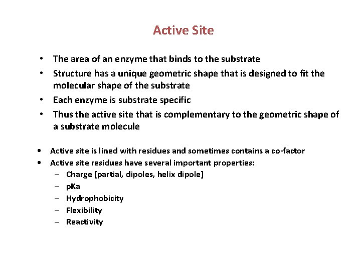 Active Site • The area of an enzyme that binds to the substrate •