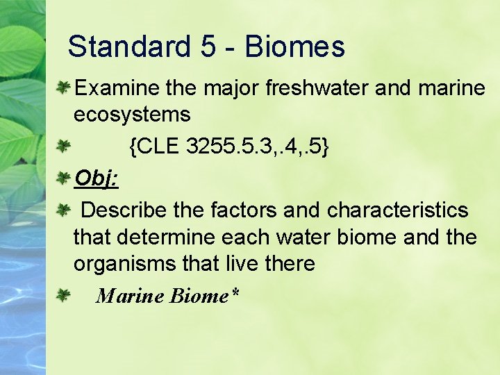 Standard 5 - Biomes Examine the major freshwater and marine ecosystems {CLE 3255. 5.