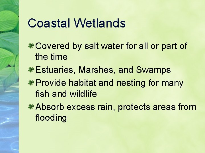 Coastal Wetlands Covered by salt water for all or part of the time Estuaries,
