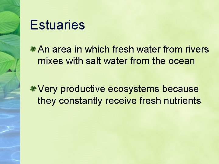 Estuaries An area in which fresh water from rivers mixes with salt water from