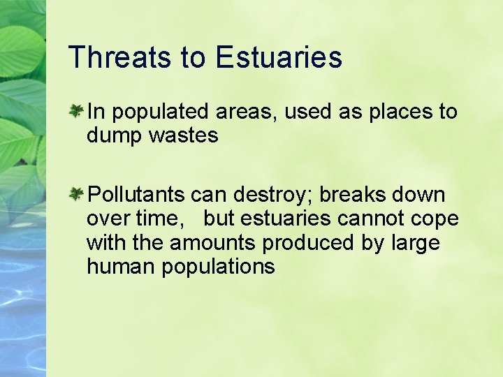 Threats to Estuaries In populated areas, used as places to dump wastes Pollutants can